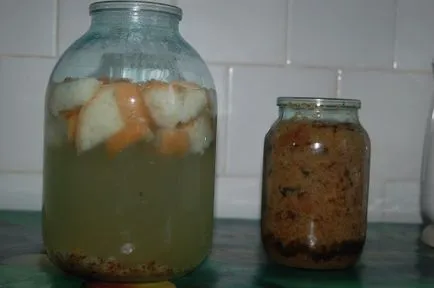 Cum sa faci o cvas acasă de la pâine (foto și video)