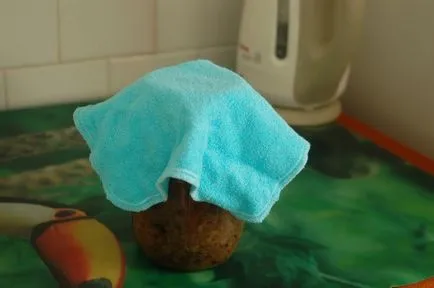 Cum sa faci o cvas acasă de la pâine (foto și video)