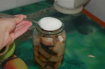 Cum sa faci o cvas acasă de la pâine (foto și video)