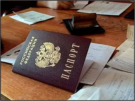 Cum sa faci un pașaport pisica