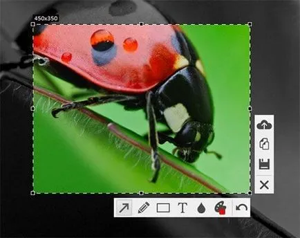 Cum de a face o captură de ecran a ecranului pe computer sau ferestre MacOS (ecran) Cum de a face o captură de ecran a ecranului pe computer sau ferestre MacOS