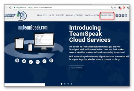 Cum de a crea un server de 3 Teamspeak
