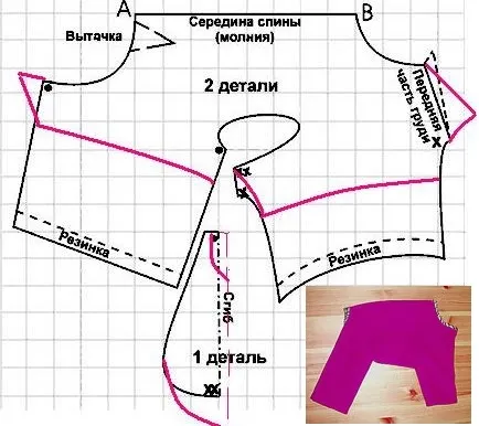 Cum să coase haine pentru pisica cu propriile sale mâini