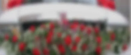 Cum de a decora masina pentru o fotografie de nunta
