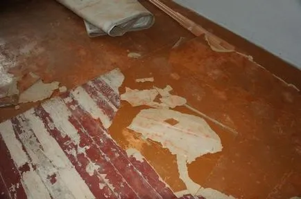 Cum de a elimina linoleum - repara si va furniza un apartament
