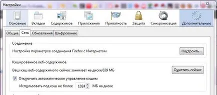 Cum de a crește memoria cache a browserului dvs.