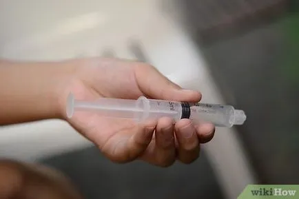 Cum să aibă grijă de pisica (pisica) Cum să aibă grijă de pisica