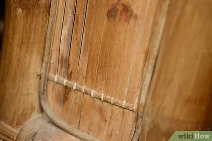 Cum să aibă grijă de pisica (hrănire ori pe zi) Cum să aibă grijă de pisica