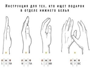 De unde știi dimensiunea de sân și metode de determinare a dimensiunii bustului Photo