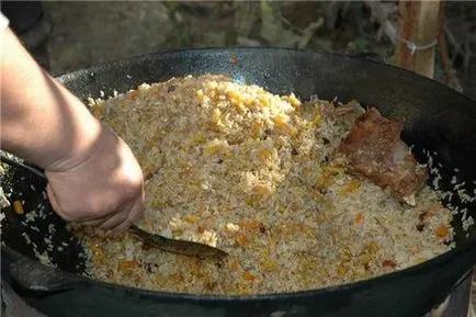 Cum de a alege un cazan