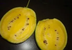 Cum să crească pepene verde în țară (cum ar fi țară cresc pepene verde) Cum să crească un pepene în țară