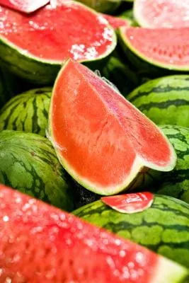 Cum să crească pepeni verzi - puncte importante (să crească) Cum să crească pepeni verzi - puncte importante