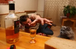 Cum să evacueze vecin alcoolic de apartament comunale sau privatizate