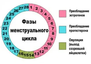 Cum de a calcula ovulatia calcula corect ziua exacta a ovulatiei poate fi prin diferite metode