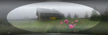 Cum pentru a vedea câine, câinele (ochii câinelui) Cum pentru a vedea câine, câinele