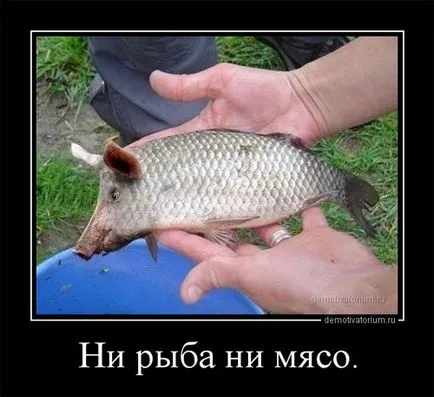 Cum de a câștiga în DotA 2