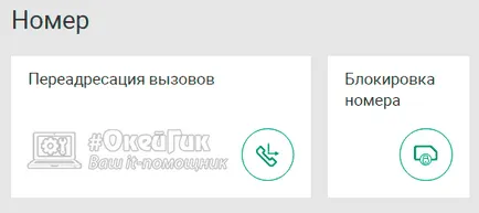 Cum de a bloca temporar sau permanent cartela SIM MegaFon, MTS, instructiuni Beeline