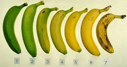 Cum se păstrează banane în acasă (magazin) Cum se păstrează banane în casă