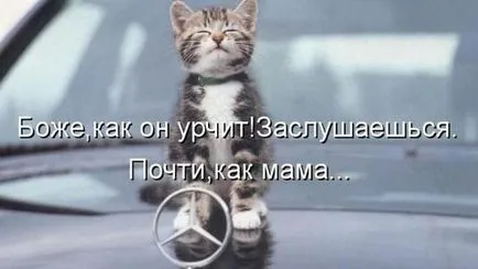 Așa cum popular numit Mercedes