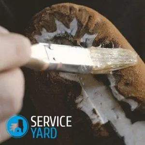 Cum se lipi pe talpa de pantofi, serviceyard-confortul casei dvs. la îndemână (unic) Cum se lipi pe talpa de pantofi, serviceyard-confortul de acasă la îndemână