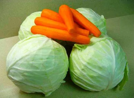 Cum să fermenteze varză