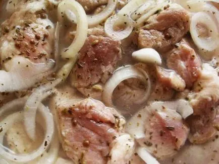 Cum se marineze frigaruile de carne de porc în mod corespunzător și în multe feluri delicioase