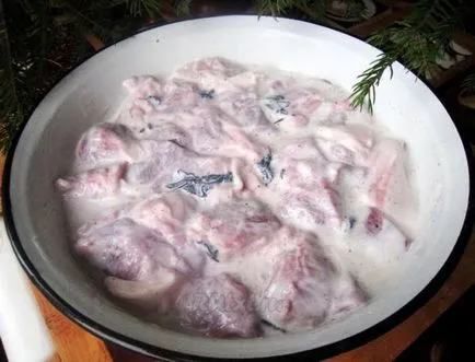 Cum se marineze frigaruile de carne de porc în mod corespunzător și în multe feluri delicioase