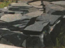 Shungite piatră