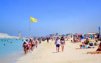 Calendarul de plante cu flori pentru cei care sufera de alergii de regiune (înflorire) Calendarul de plante cu flori care suferă de alergii de regiune