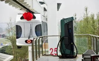 Calendarul de plante cu flori pentru cei care sufera de alergii de regiune (calendar) Calendarul de plante cu flori care suferă de alergii de regiune