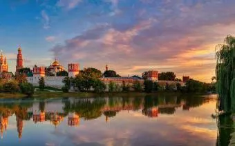 Calendarul de plante cu flori pentru cei care sufera de alergii de regiune (disponibile) Calendarul de plante cu flori care suferă de alergii de regiune