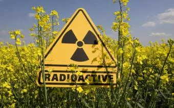 Calendarul de plante cu flori pentru cei care sufera de alergii de regiune (alergie) Calendarul de plante cu flori care suferă de alergii de regiune