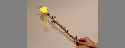 zână Costum sau vrăjitoare, maternitate - sarcină, naștere, nutriție, educație