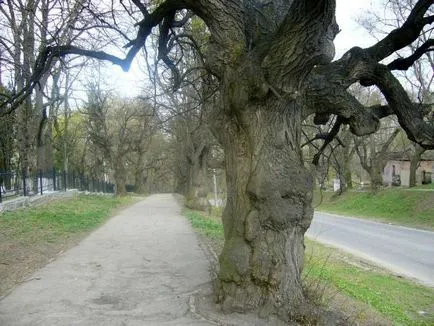 Odată lumea mică