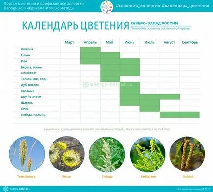 Calendarul de plante cu flori pentru cei care sufera de alergii de regiune (România Calendarul de înflorire) Calendarul de plante cu flori care suferă de alergii de regiune