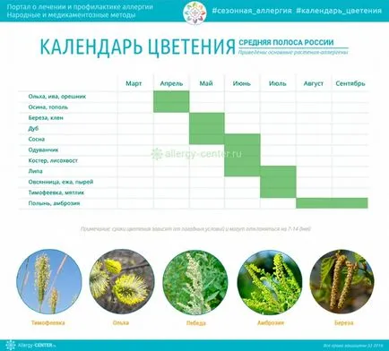 Calendarul de plante cu flori pentru cei care sufera de alergii de regiune (alergie) Calendarul de plante cu flori care suferă de alergii de regiune