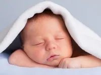 Ce un copil vis băiat copil băiat într-un vis - vis Miller, Vanga, Aesop (băiat) Ce un copil vis băiat copil băiat într-un vis - vis Miller, Vanga, Aesop