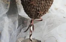arbore de cafea cu mâinile cum să facă topiara (cafea) arbore de cafea cu mâinile cum să facă topiara