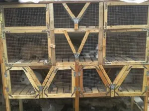 Cage pentru iepuri cu mâinile lor pas cu pas instrucțiunile (celule) Cage pentru iepuri cu mâinile lor ghid pas cu pas