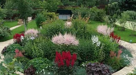 Un pat de flori de flori perene pentru începători cu numele și pozele pentru flowerbeds, diagrame, video