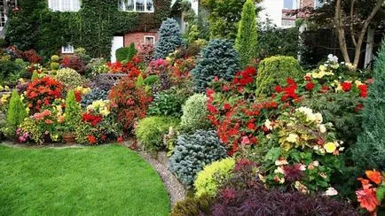 Un pat de flori de flori perene pentru începători cu numele și pozele pentru flowerbeds, diagrame, video