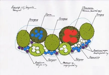 paturi de flori anuale - scheme, exemple, ghid pas cu pas