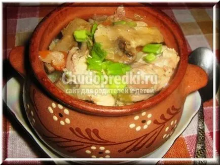 tocană de cartofi cu carne de pui