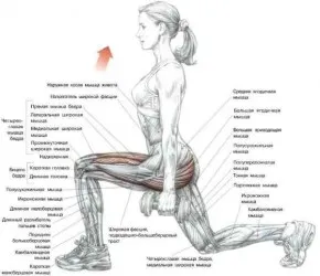Un set de exerciții cu gantere - exerciții la domiciliu - Articole - antrenament pentru acasa