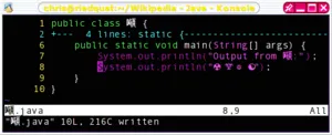 Programarea calculatoarelor - l