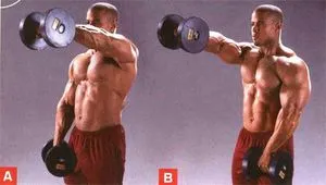 Un set de exerciții cu gantere la programe de acasă pentru bărbați și de formare complexe (gantere) Un set de exerciții cu gantere la domiciliu pentru bărbați și program complex de instruire
