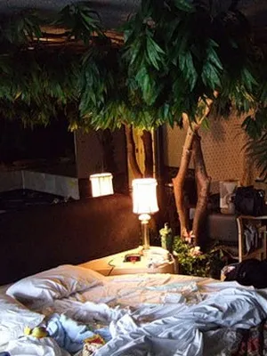 flori Ghivece cu în interiorul apartamentului și puneți-le în dormitor, baie, hol, camera de zi (flori) flori Ghivece cu în interiorul apartamentului și puneți-le în dormitor, baie, hol, camera de zi