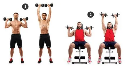 Un set de exerciții cu gantere - exerciții la domiciliu - Articole - antrenament pentru acasa
