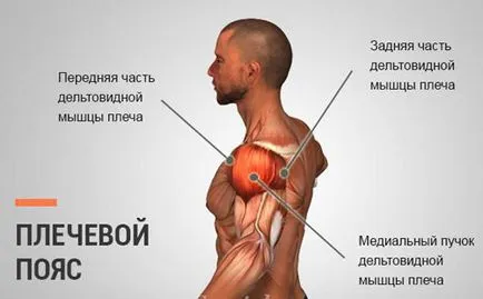 Complex de exerciții de bază cu gantere la domiciliu pentru bărbați și femei