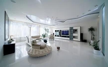 flori Ghivece în interiorul florii decorare apartament cu o cameră de zi foto (apartament) flori Ghivece în interiorul apartamentului living decor flori foto